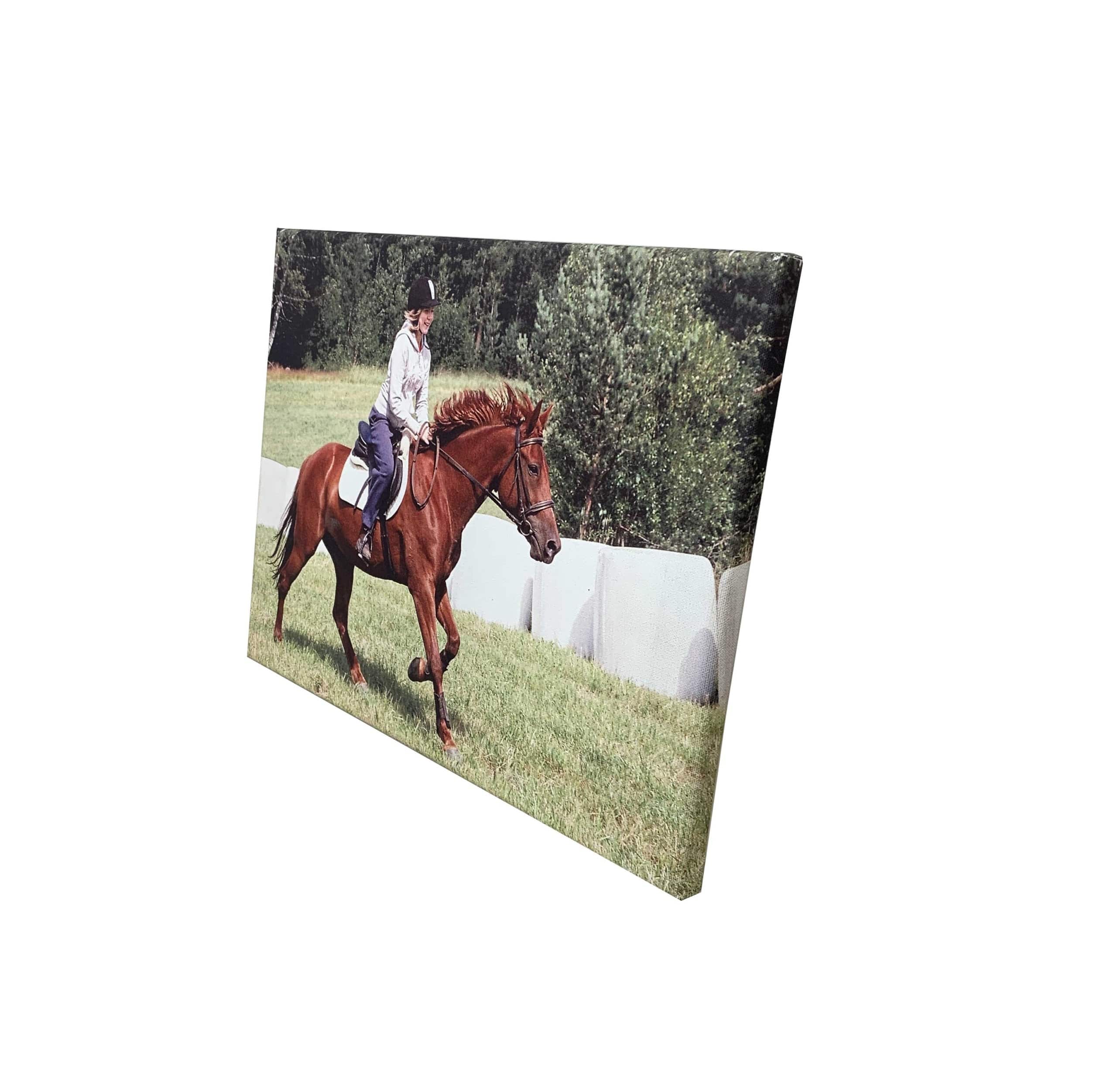 Canvas-taulu