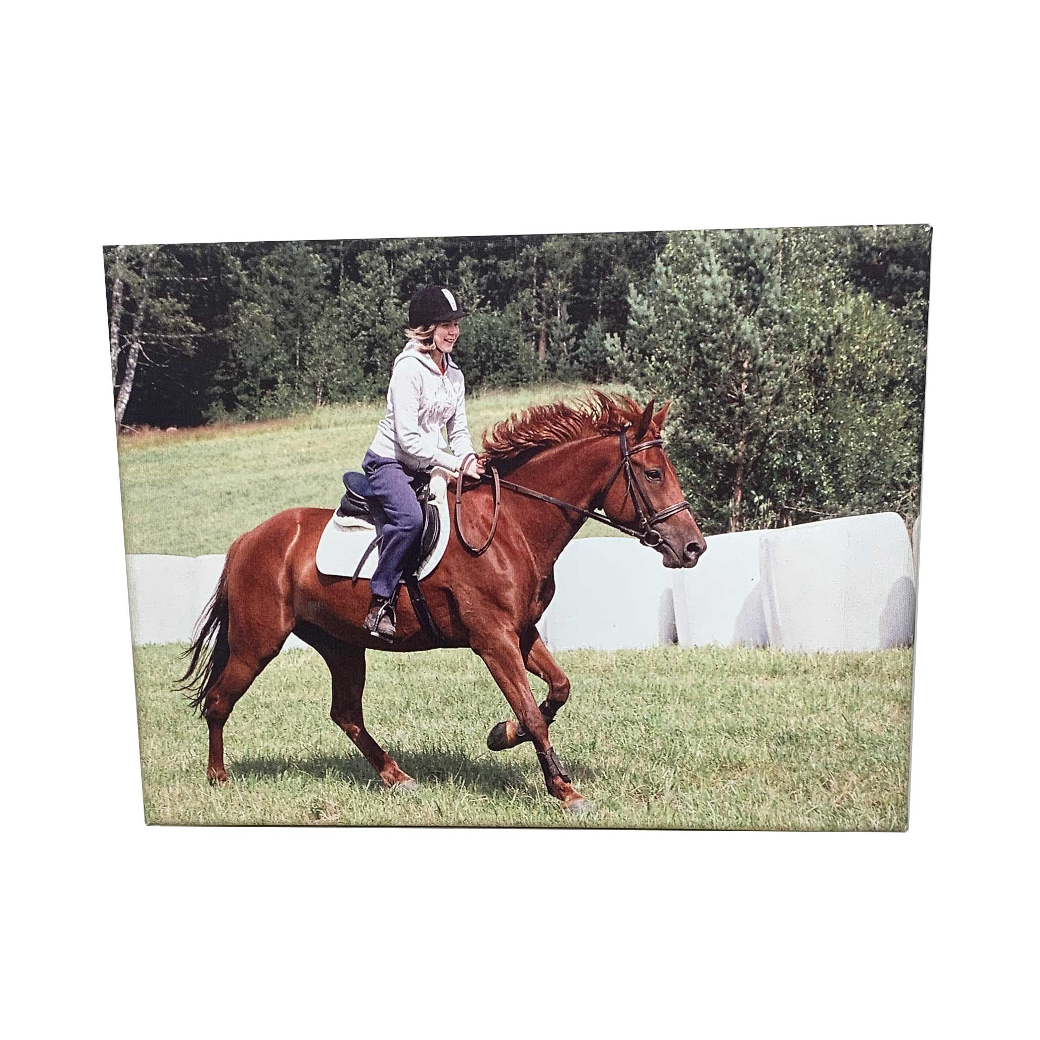 Canvas-taulu